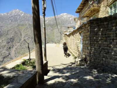 خودبسندگی در معماری هورامانات