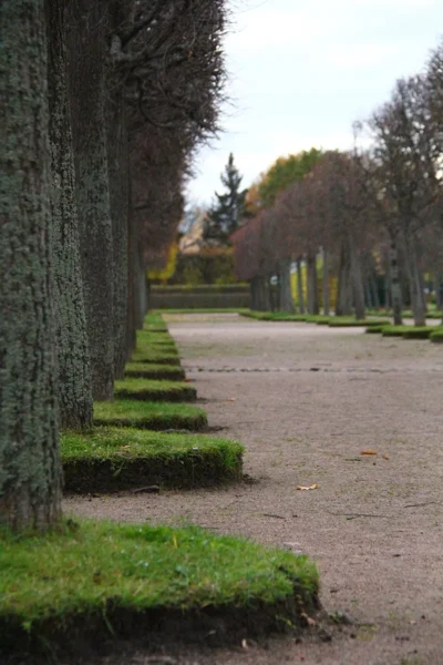 زیبایی در عین سادگی