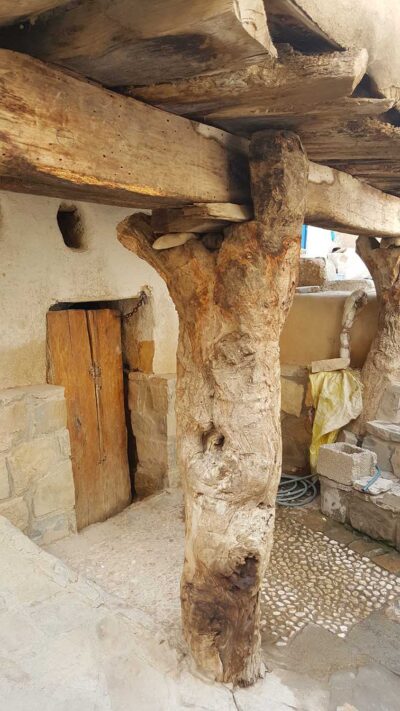 گیاهشناسی کاربردی در معماری بومی روستای پارسیان