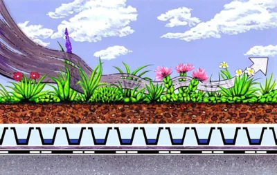 مزایای زیست محیطی بامهای سبز