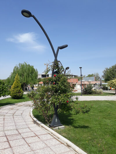پوشش گیاهی هدف دار