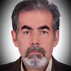 مجتبی انصاری