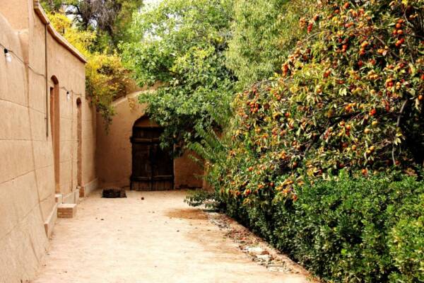 درختان مثمر و حواس انسانی در باغ ایرانی