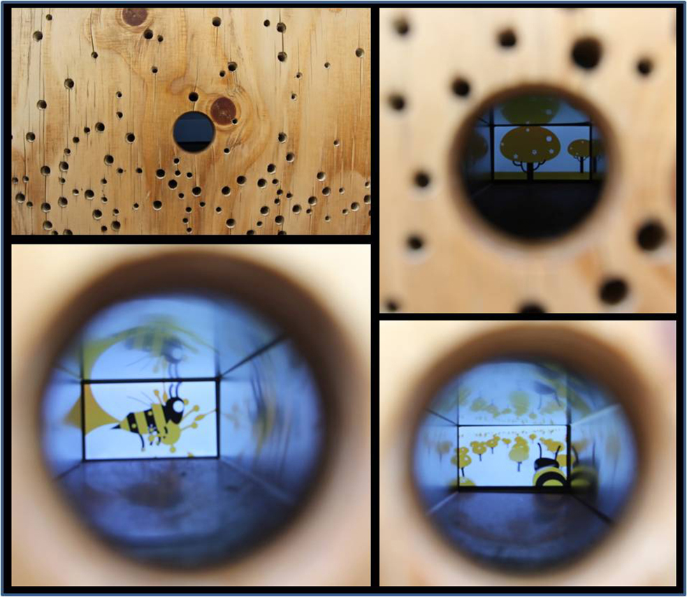 کندوی عسل در علفزارهای ناتینگهام، گزارش غرفه بریتانیا در اکسپوی ۲۰۱۵ میلان