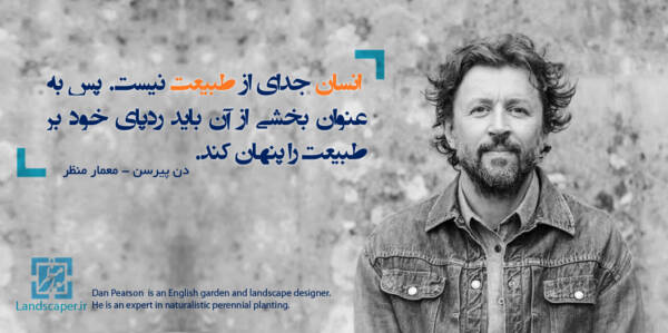 دن پیرسن