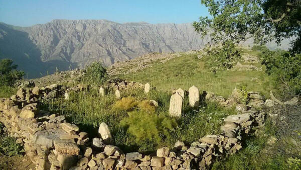 پیوند با طبیعت در آرامستان روستای بلبر