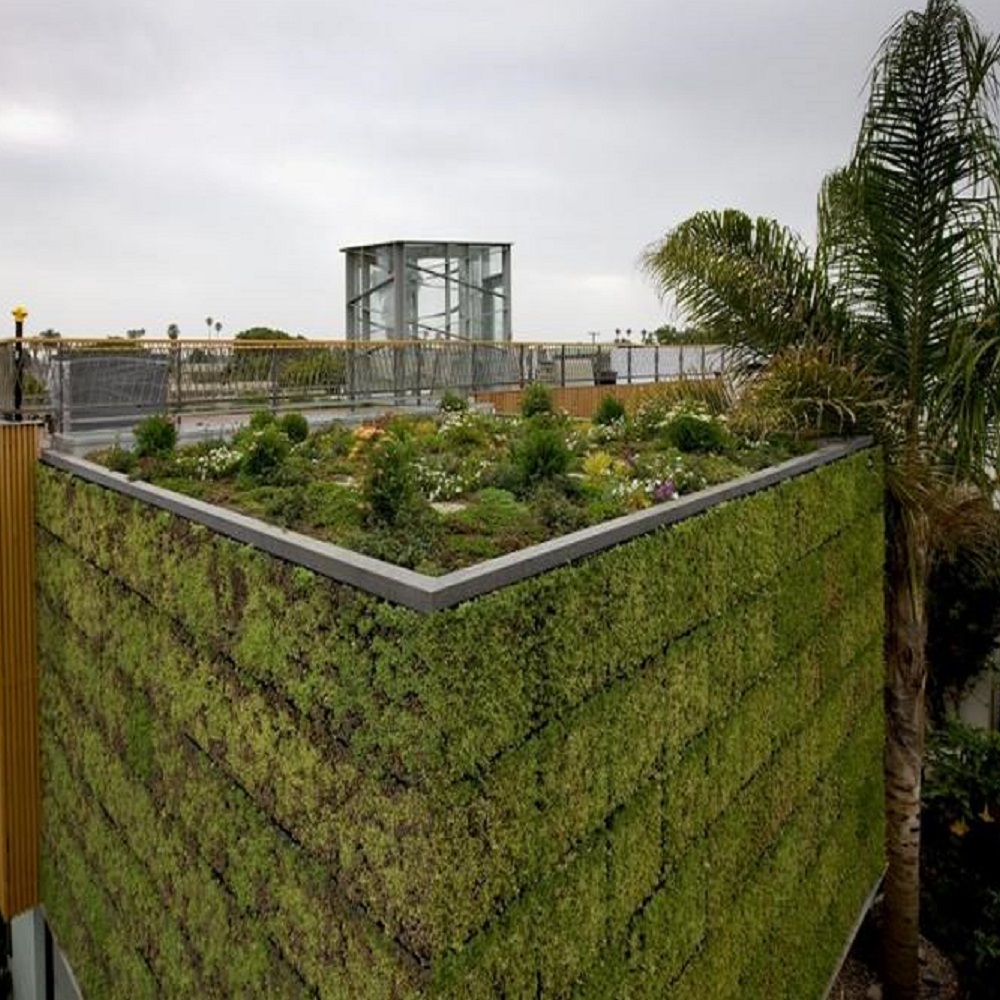 green walls and green roofs