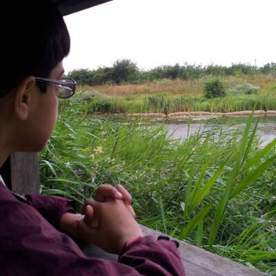 تاثیر نگاه به طبیعت از پشت پنجره در حل مشکلات