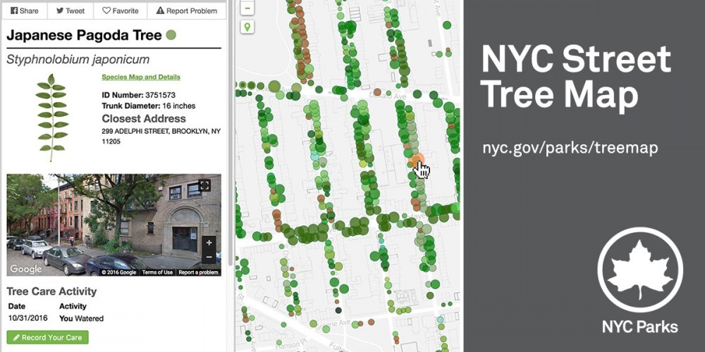 بررسی منفعت اقتصادی درختان نیویورک از طریق سیستم جامع اطلاعات آنها