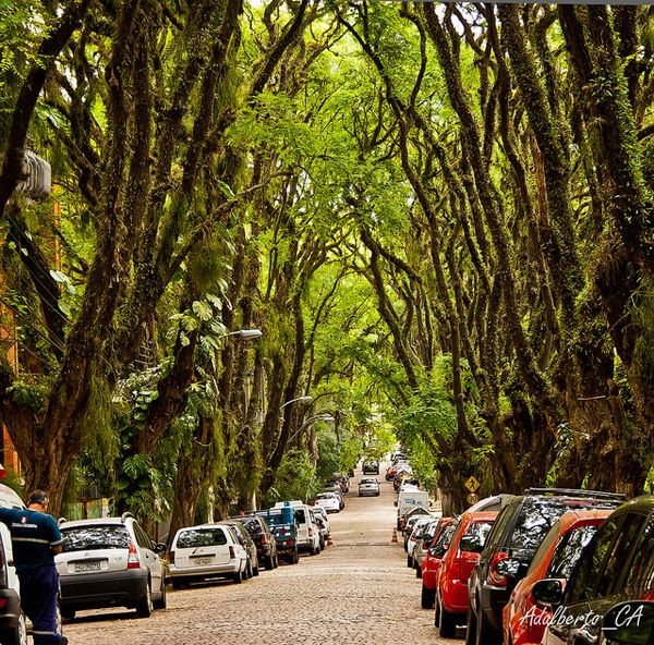 خیابان گونزالو دکاروالیو به عنوان فضایی سرآمد در مهار گرمای جهانی