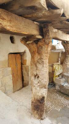 گیاهشناسی کاربردی در معماری بومی روستای پارسیان