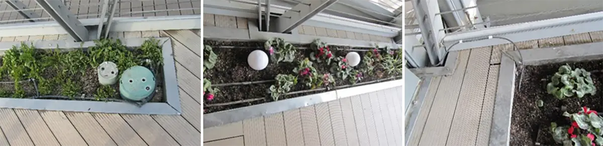 نقد و بررسی پل طبیعت