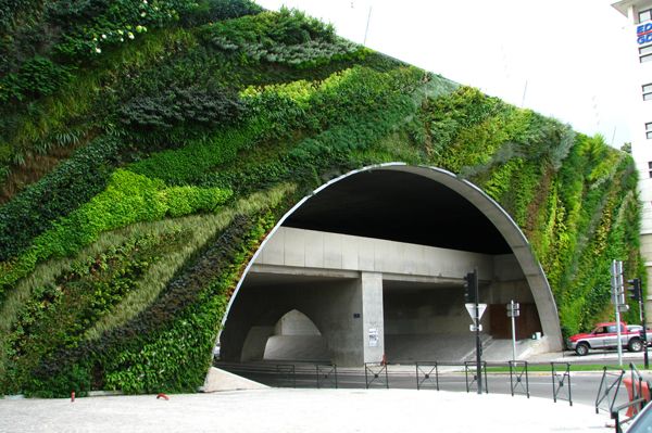 طراحان برتر در زمینه طراحی کاشت در فضاهای سبز