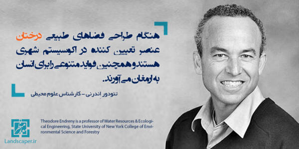 تئودور اِندرنی