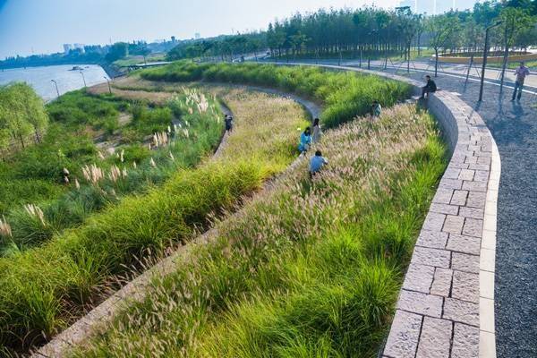 پارک Yanweizhou، باز پس گیرنده اکولوژی و محیط زیست از دست رفته