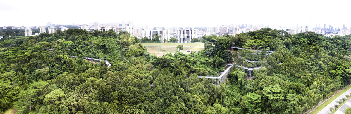 پارک جنگلی الکساندرا در سنگاپور