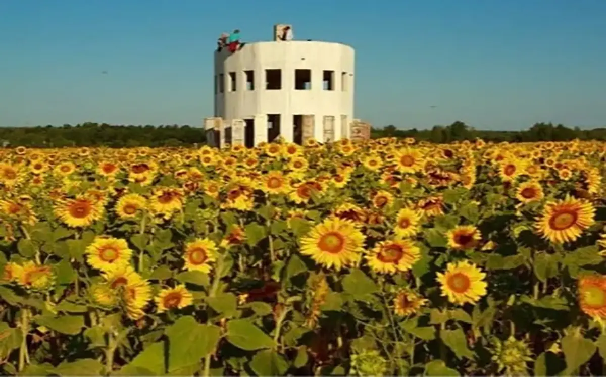پارک جنگلی آرچستویانی؛ مکانی برای تجربه فعالیتهای متنوع