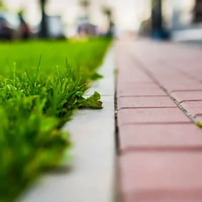 تاثیر فضای سبز بر کاهش افسردگی در بزرگسالان