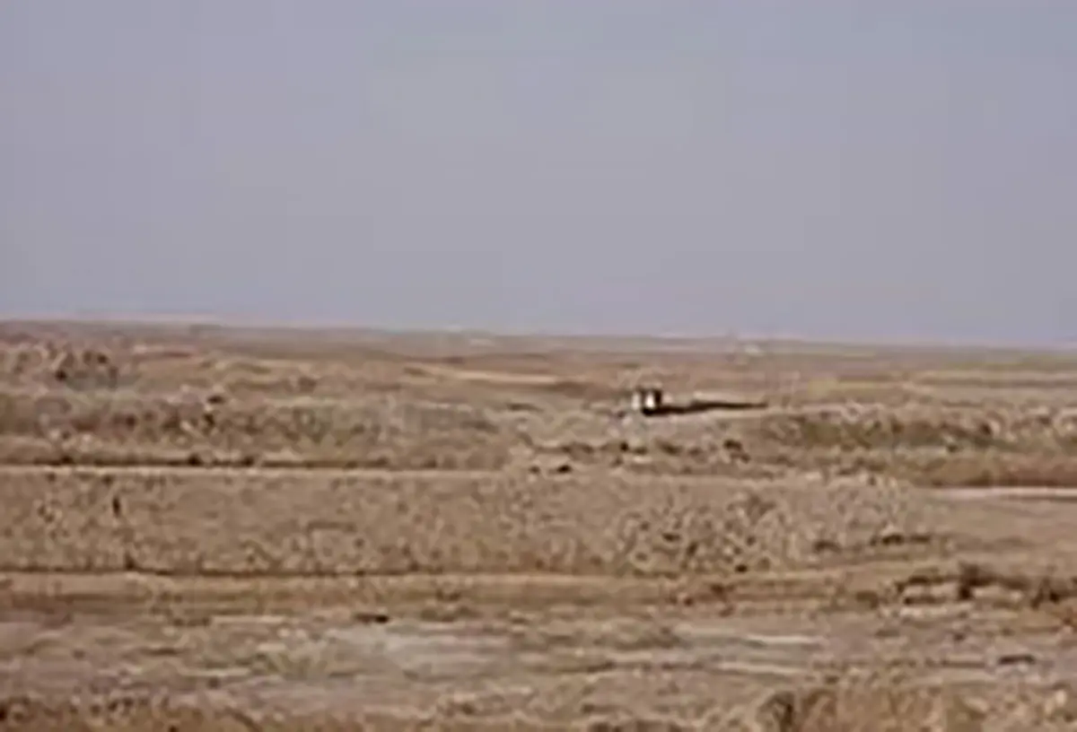 تاثیر جنگ ایران و عراق بر نخلستان مرزی شلمچه